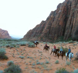 Snow Canyon Trail Rides