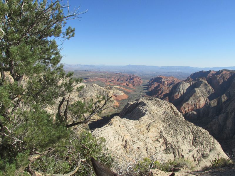 Snow Canyon Trail Rides